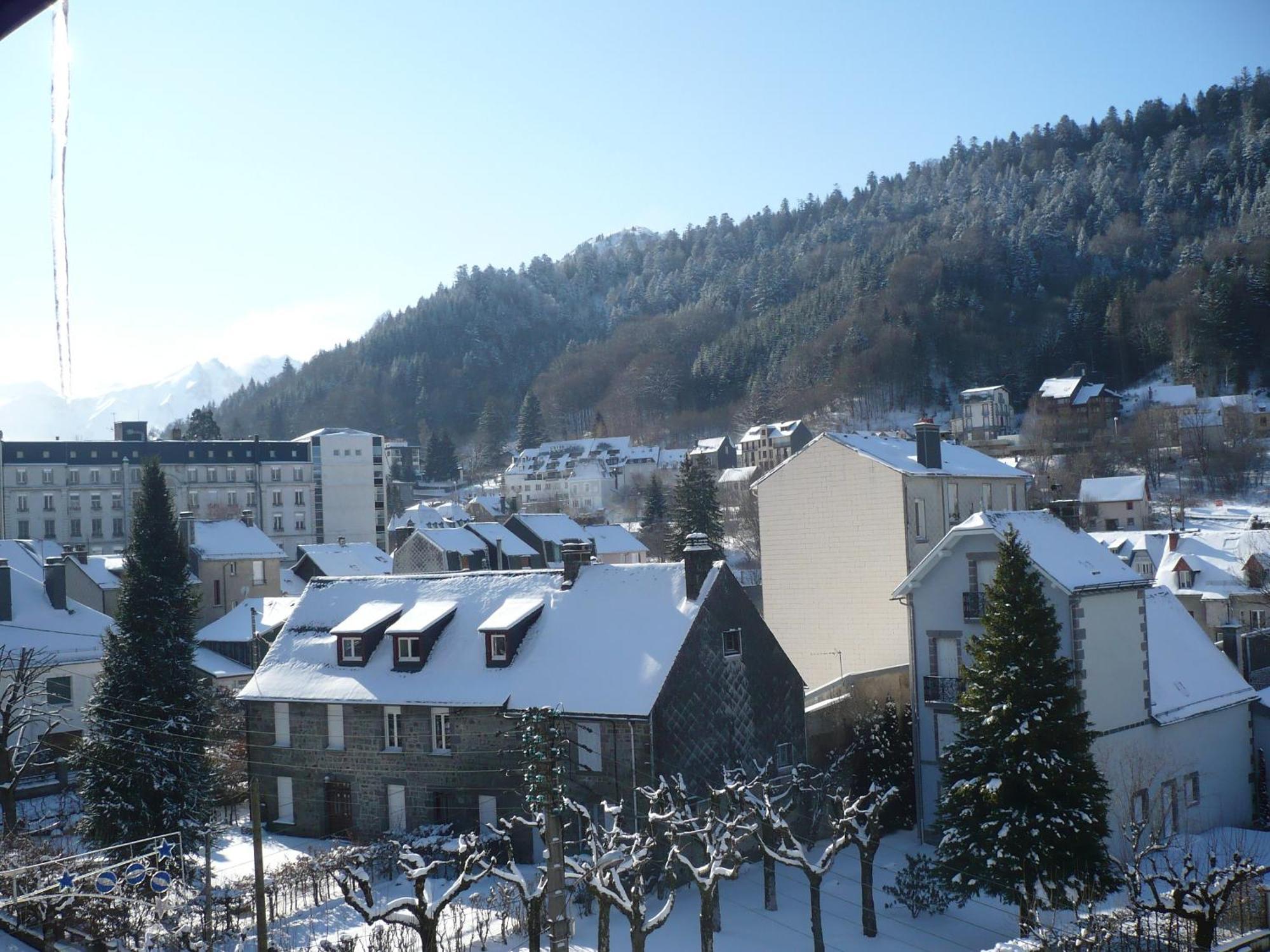 Residence Wilson Le Mont-Dore Bagian luar foto