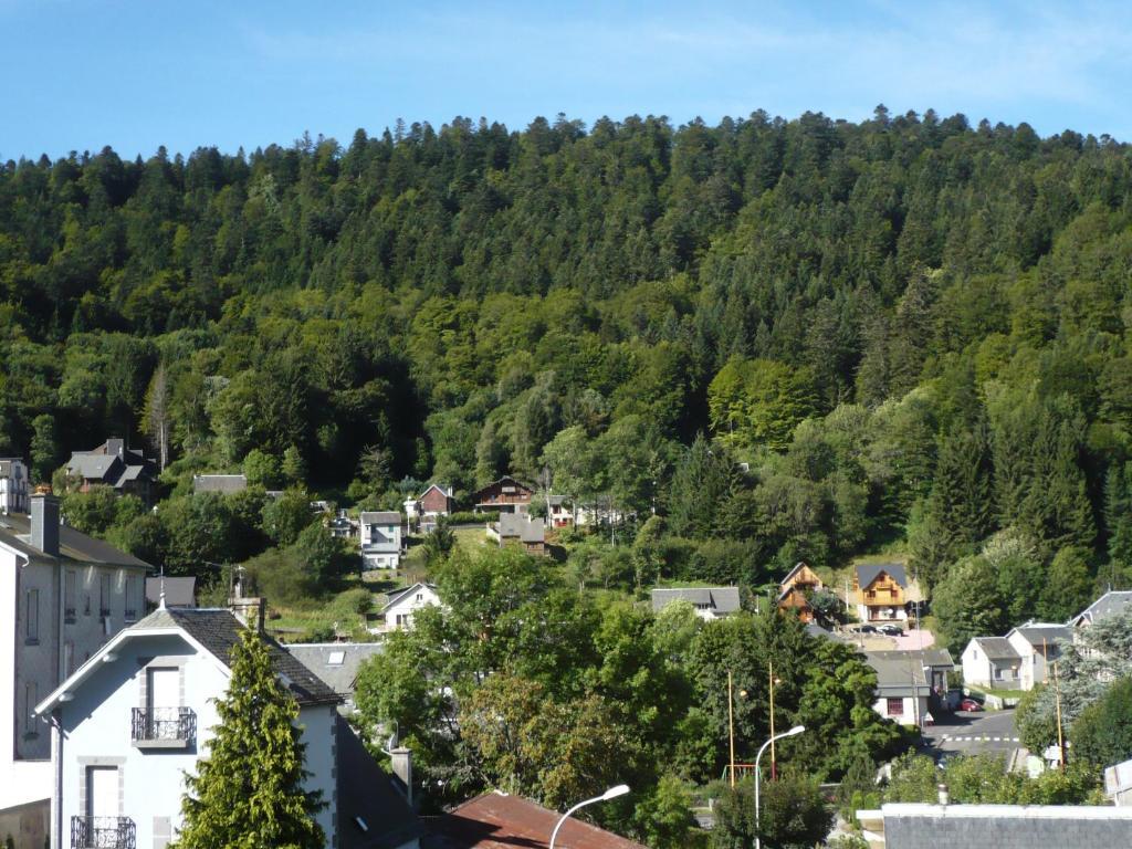 Residence Wilson Le Mont-Dore Ruang foto